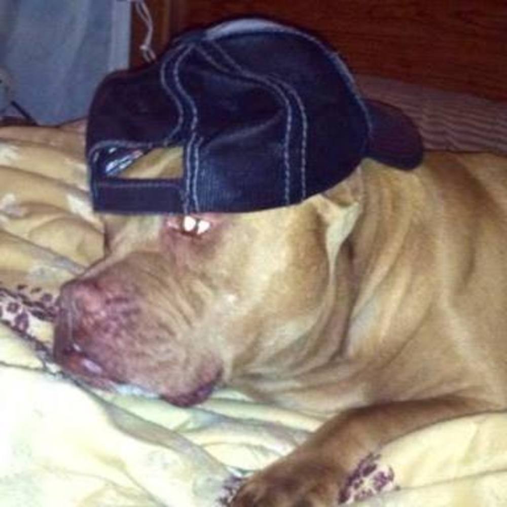 Meet your Posher, Kristi